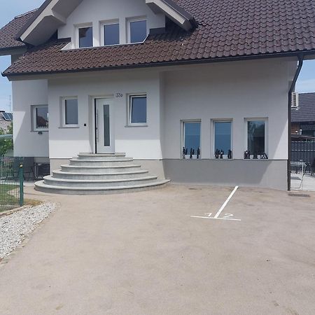 Spring And Summer Apartment Near Ljubljana With Free Secure Parking Domžale Exteriér fotografie