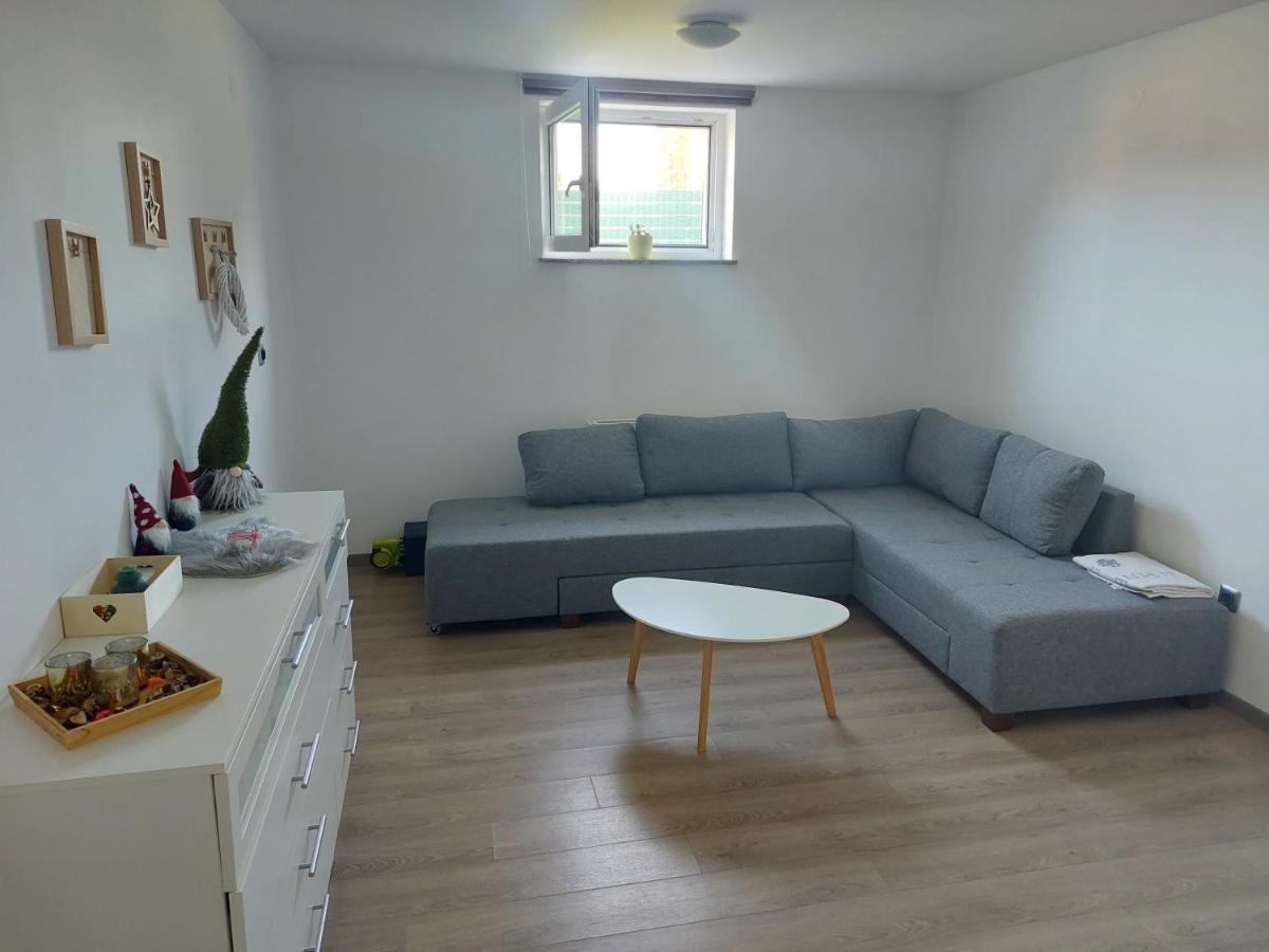 Spring And Summer Apartment Near Ljubljana With Free Secure Parking Domžale Exteriér fotografie